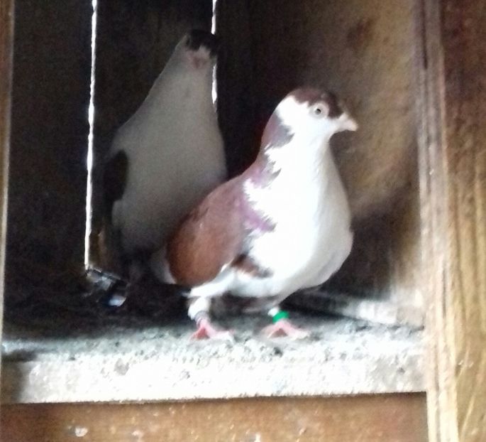 20200331_112615-1 - Galateni 2020