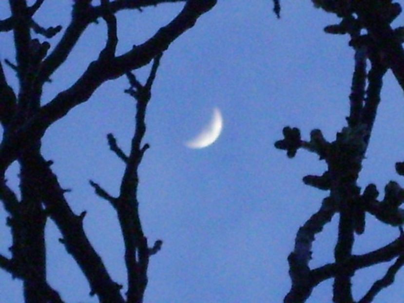Luna in crestere in Gemeni - Luna - Soarele si norii - 2