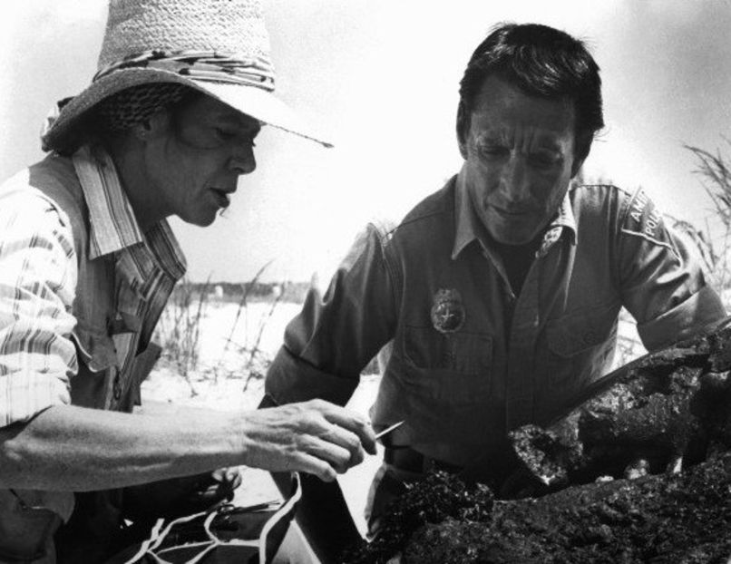 Falci 2 - Falci 2 1978