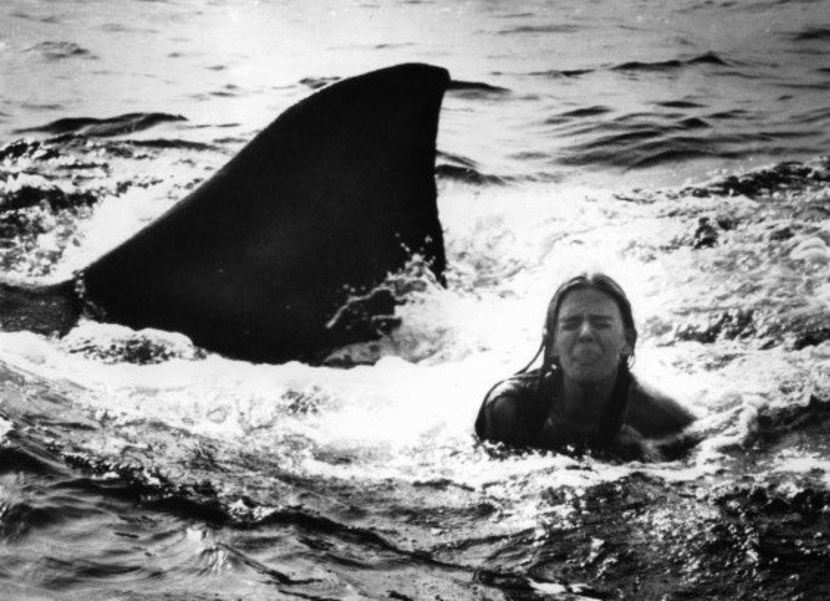 Falci 2 - Falci 2 1978