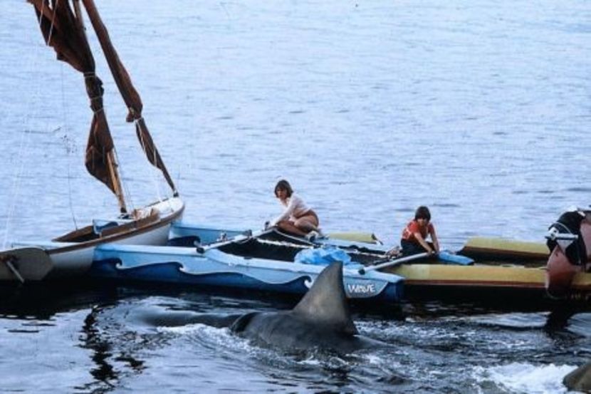 Falci 2 - Falci 2 1978