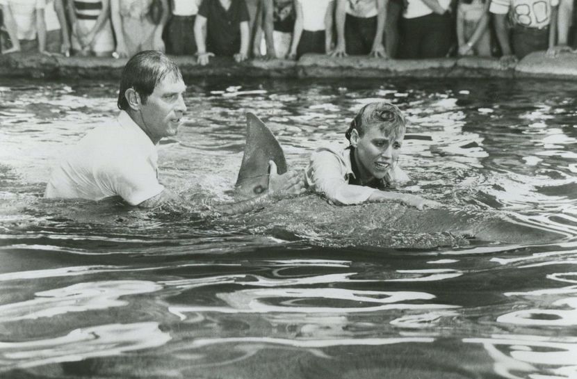 Falci 3 - Falci 3 1983