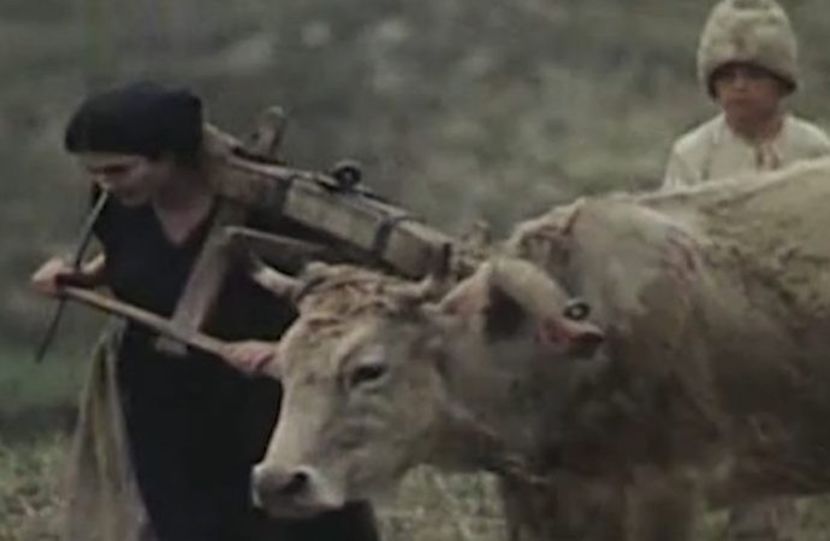 Lumina Palida A Durerii - Lumina Palida A Durerii 1981