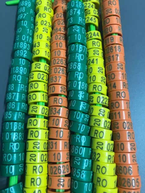 Inele Ornament 2020 10 mm RO 1,2 lei - 00000001 Inele Ornament 2020