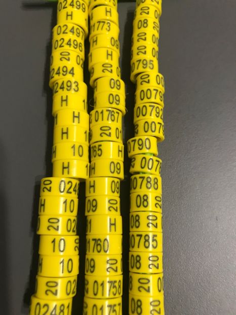 Ine Ornament Ungaria 2020 10 mm 1,5 lei - 00000001 Inele Ornament 2020