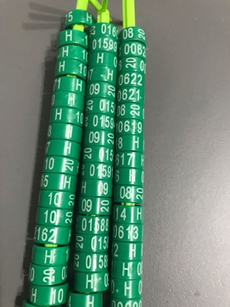  - 00000001 Inele Ornament 2020