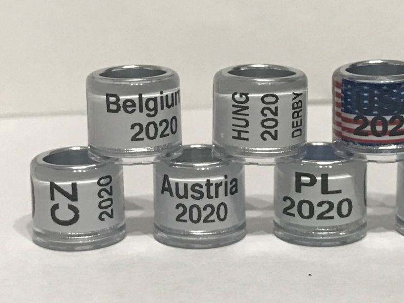 F1304821-F215-4D79-942C-36D688F368E1 - 000001 Inele Colecție Tari Străine Amatori 2020