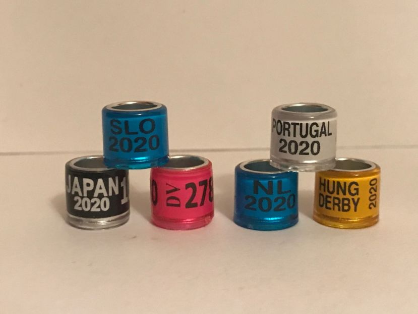 5AD73018-18C2-4D00-8888-B6B72EC65E35 - 000001 Inele Colecție Tari Străine Amatori 2020