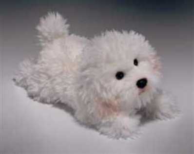 bichon_stuffed_russ - Cainii