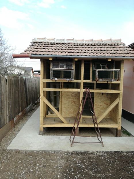 IMG-20200328-WA0009 - 2020-Pui Seria întâi