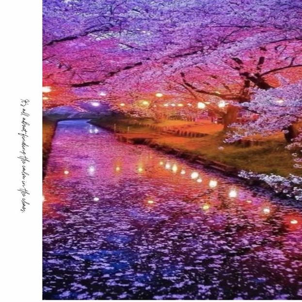 WildChild - own your own story