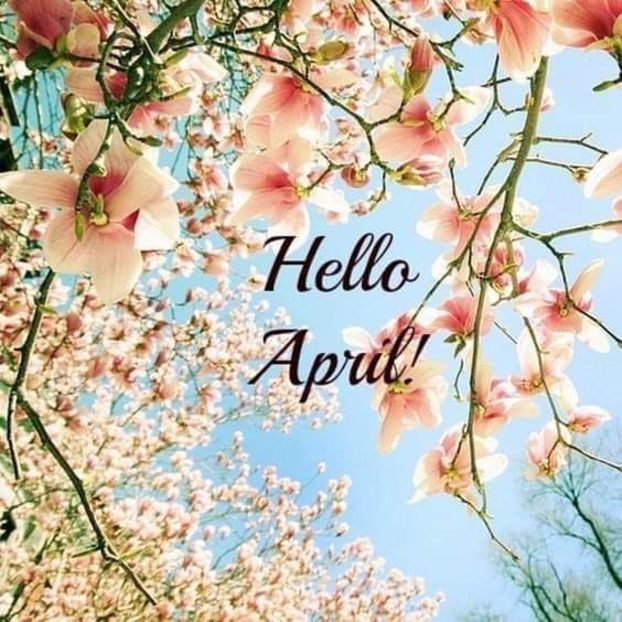  - APRILIE 2020