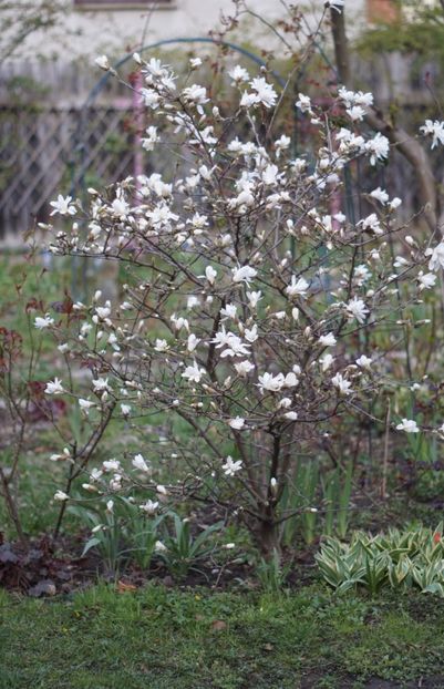  - APRILIE 2019- APRILIE 2020