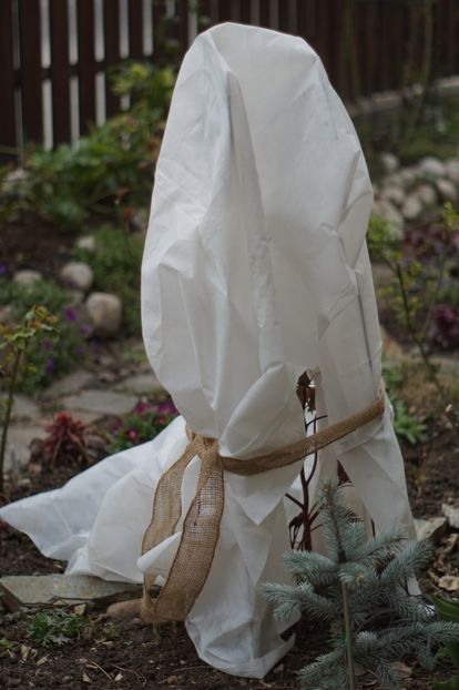  - APRILIE 2019- APRILIE 2020