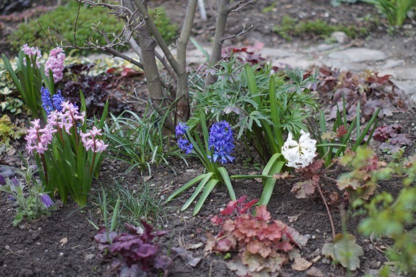  - APRILIE 2019- APRILIE 2020