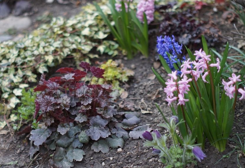  - APRILIE 2019- APRILIE 2020