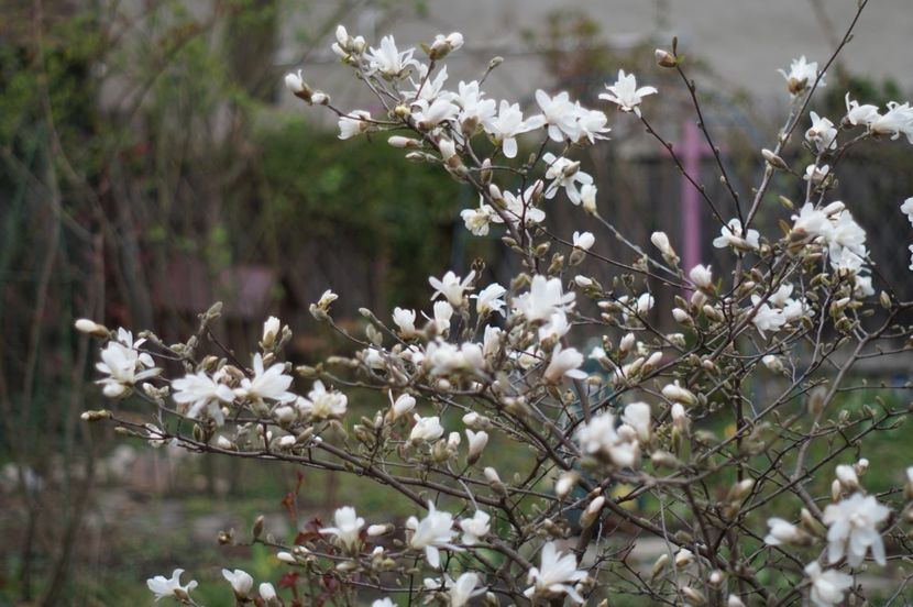  - APRILIE 2019- APRILIE 2020