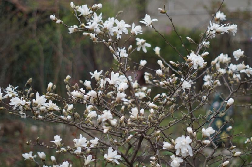  - APRILIE 2019- APRILIE 2020