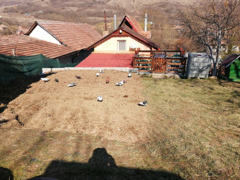  - Voliera de la țară!