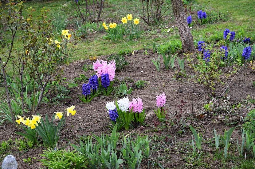 IMG-20200402-WA0029 - 2020 Mart-Apr_Idilic garden