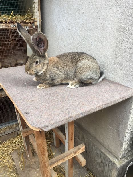 9E34B823-FABE-442A-A8F7-CB97A69C0C78 - RO 8-119103