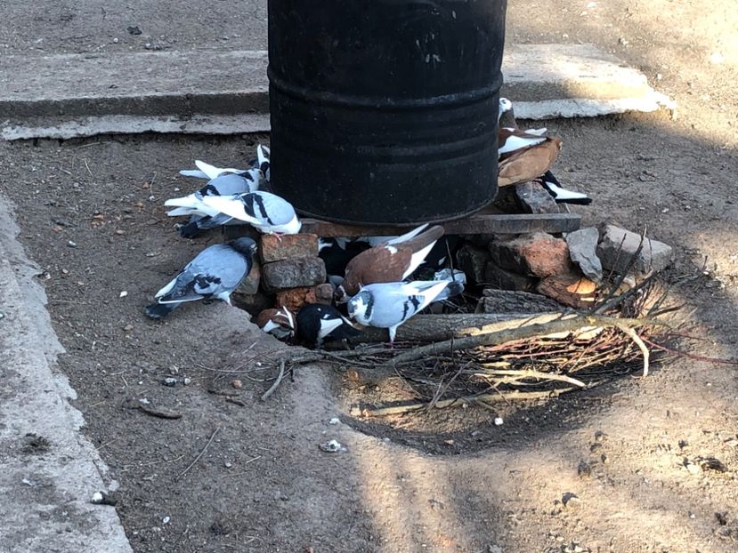  - 00000001 pe afară