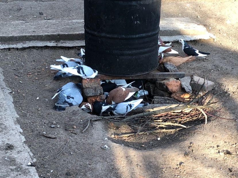  - 00000001 pe afară