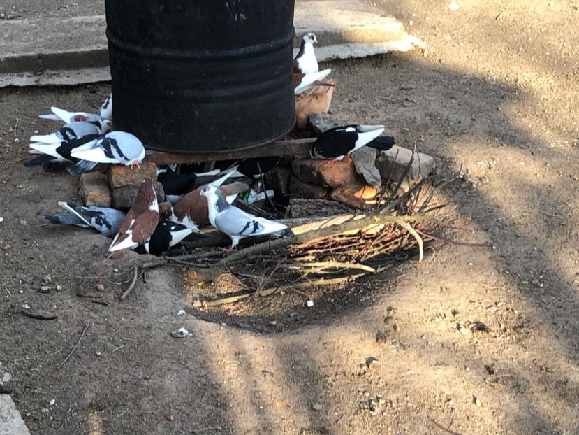  - 00000001 pe afară