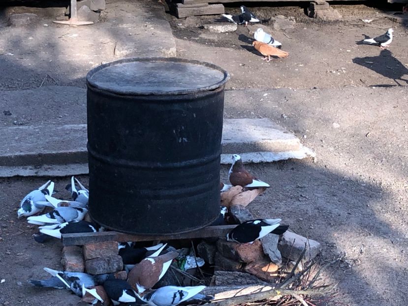  - 00000001 pe afară