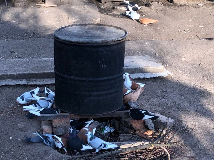  - 00000001 pe afară