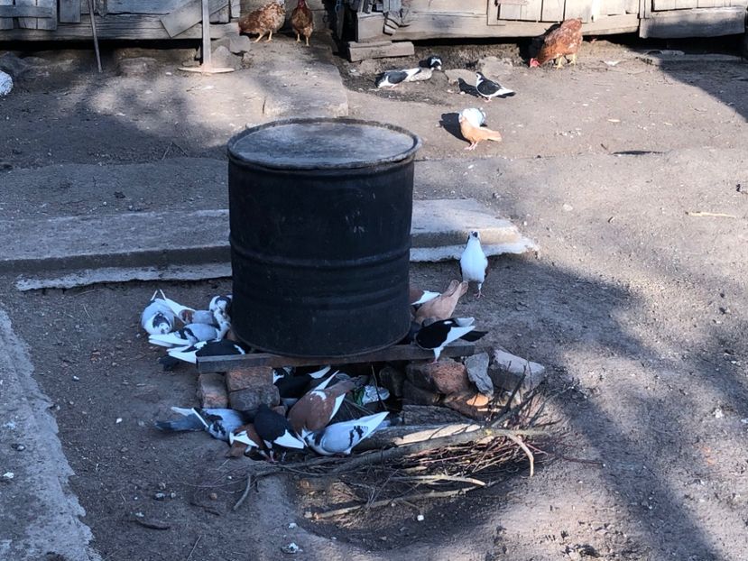  - 00000001 pe afară