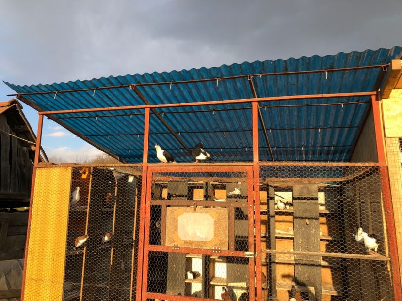  - 00000001 pe afară