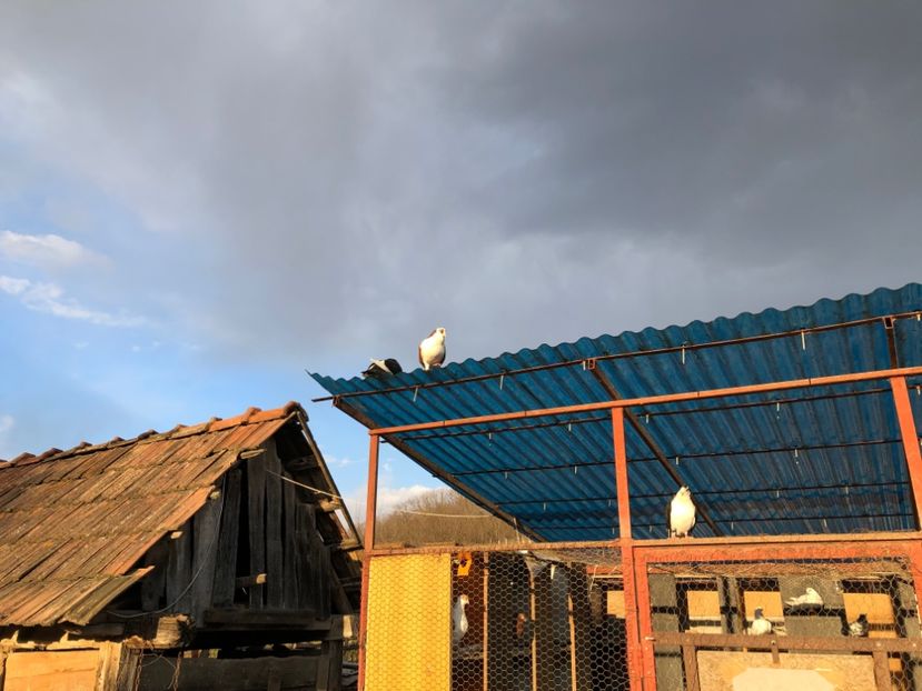  - 00000001 pe afară