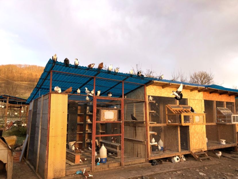  - 00000001 pe afară