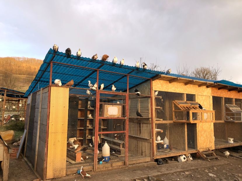  - 00000001 pe afară