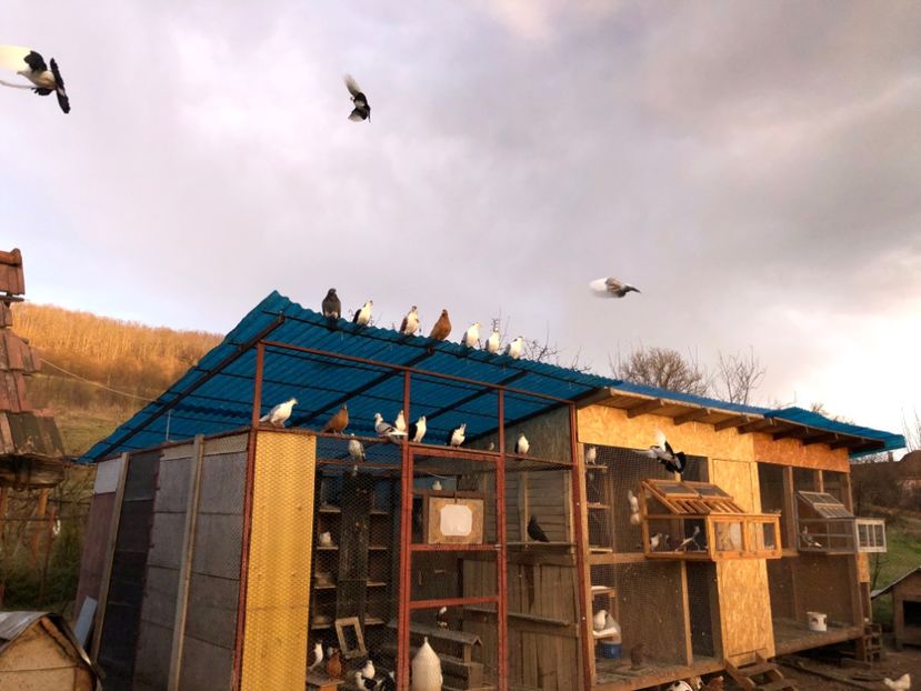  - 00000001 pe afară