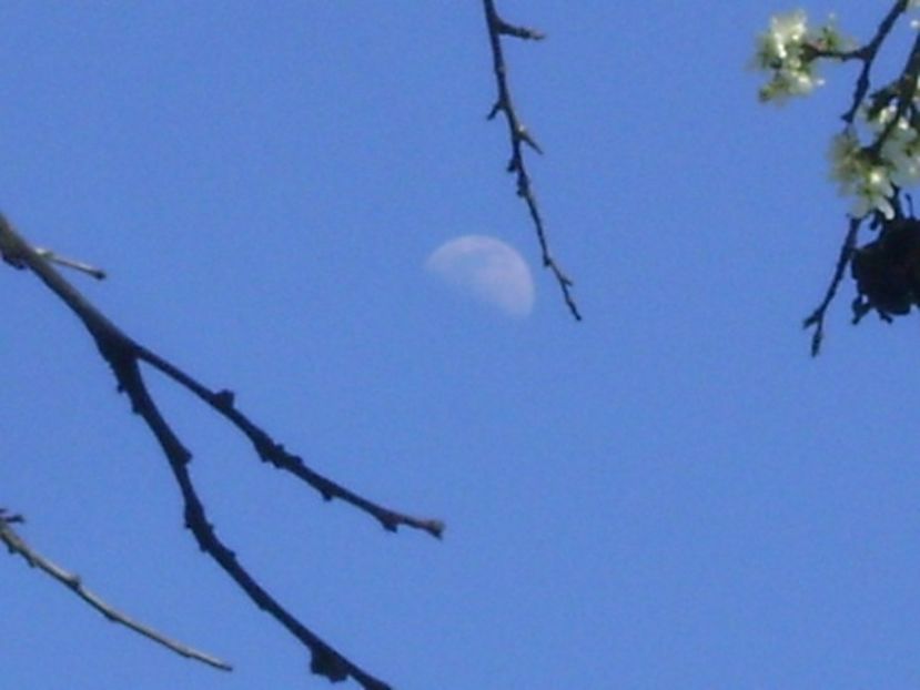 Primul patrar al Lunii in Rac - Luna - Soarele si norii - 2