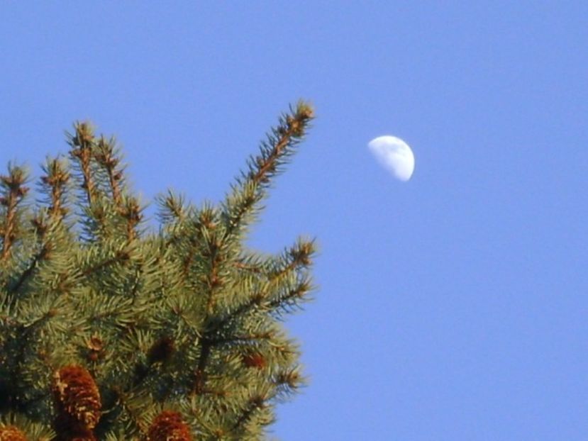 Primul patrar al Lunii in Rac - Luna - Soarele si norii - 2