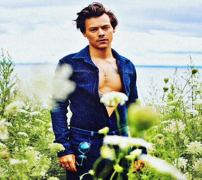 『dowhatulove』got ⚘ 8 ⚘ - 01 Mes chartreuses sapphires