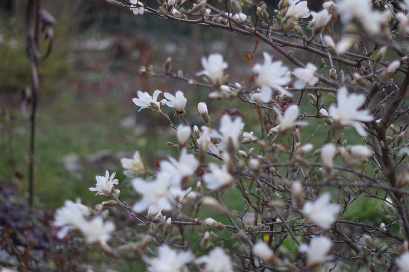  - APRILIE 2019- APRILIE 2020