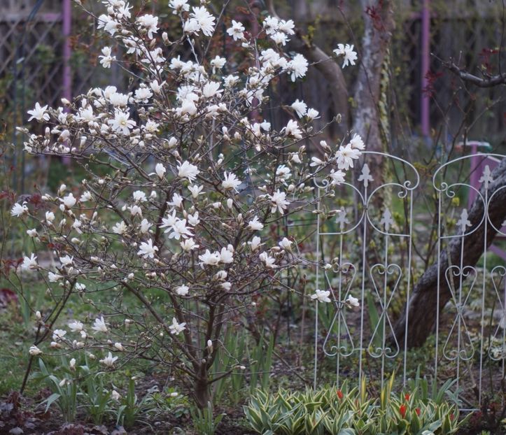  - APRILIE 2019- APRILIE 2020