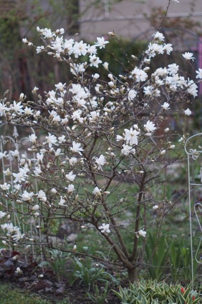  - APRILIE 2019- APRILIE 2020