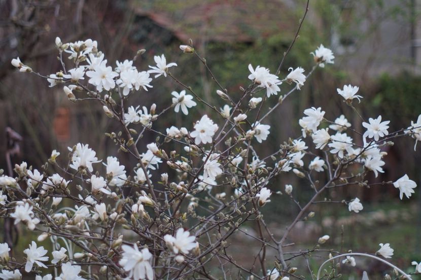  - APRILIE 2019- APRILIE 2020