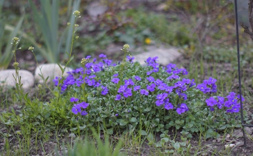  - APRILIE 2019- APRILIE 2020