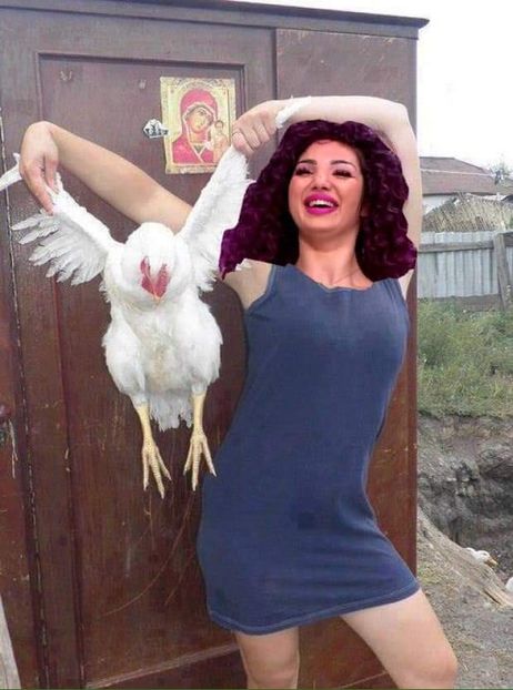  - x Mireasa - Antena1 -memes