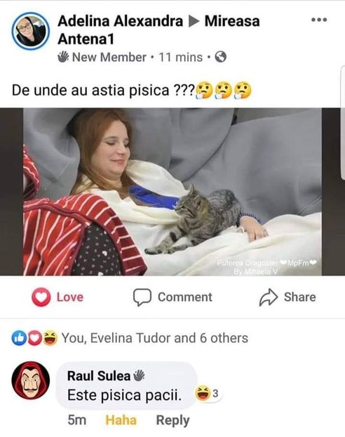  - x Mireasa - Antena1 -memes