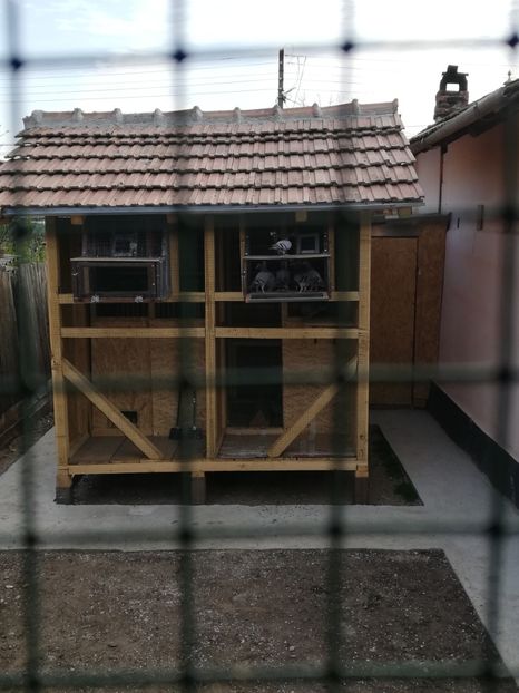  - 2020-Pui Seria întâi