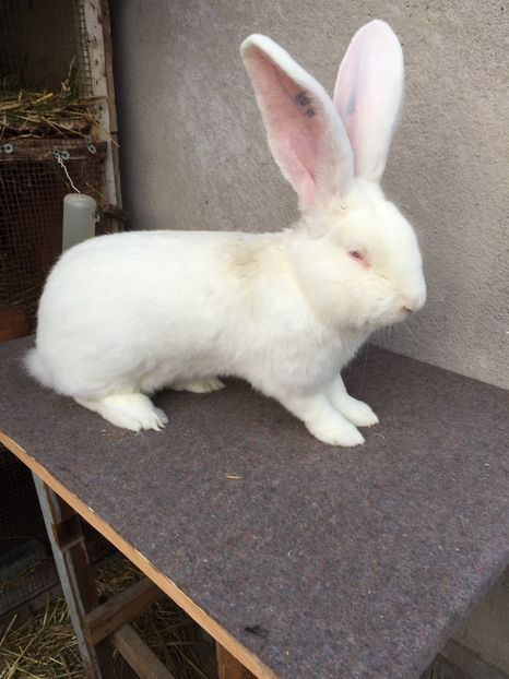 E2E5E829-AF17-4473-A12A-5F00C9D88FAC - RO 8-193