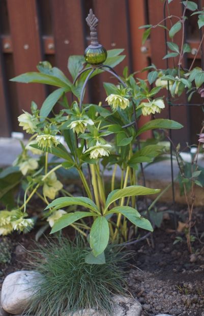  - APRILIE 2019- APRILIE 2020