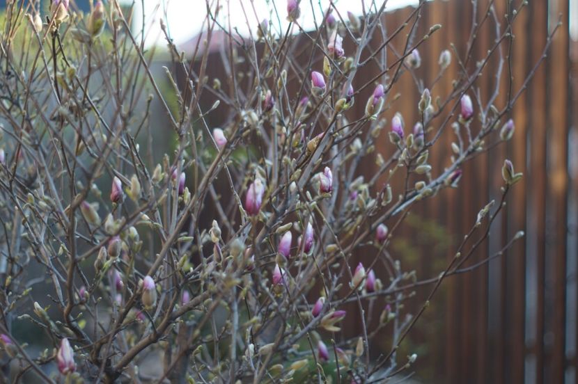  - APRILIE 2019- APRILIE 2020